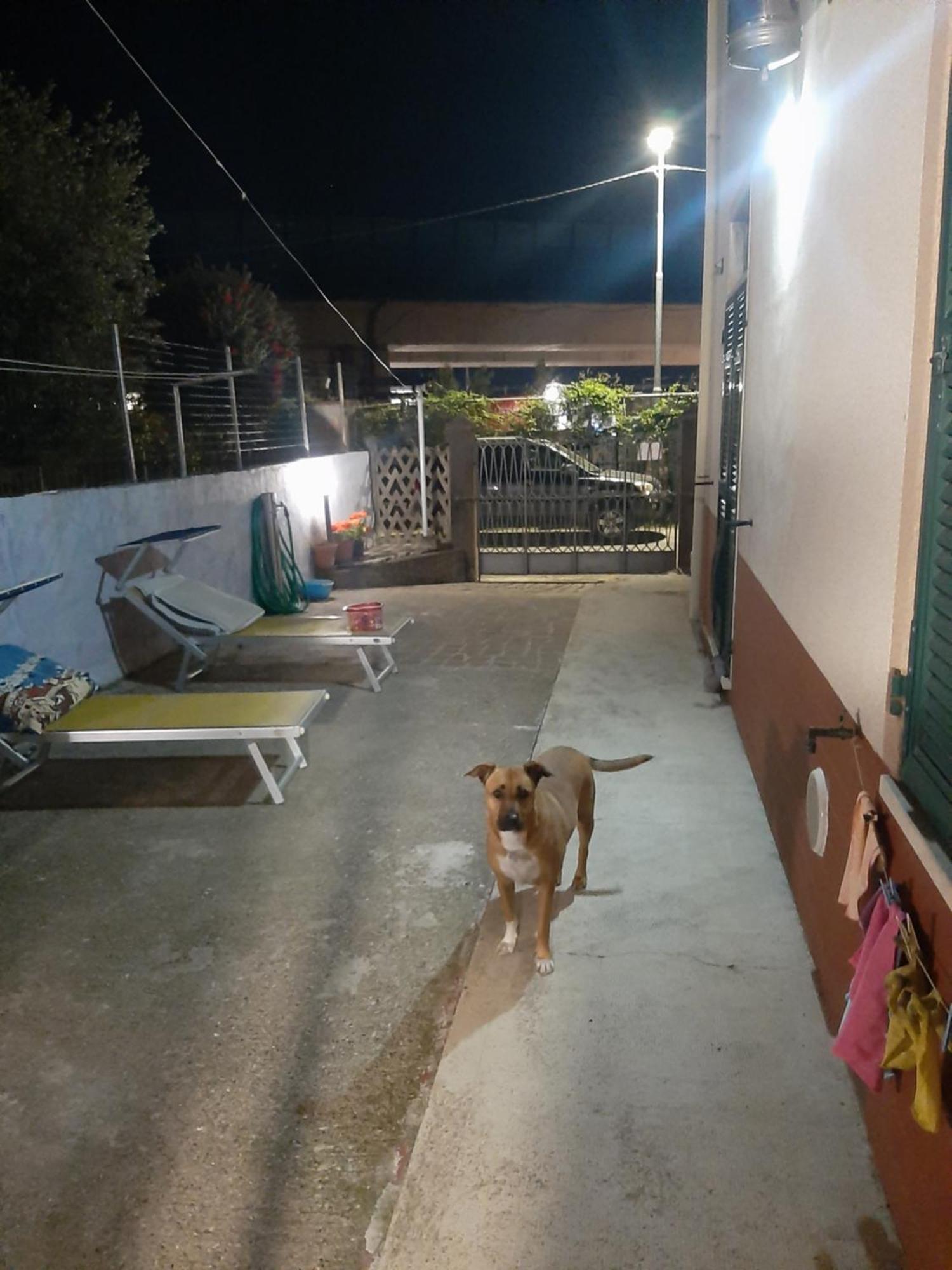 Casa Vacanza Dh La Spezia Zewnętrze zdjęcie